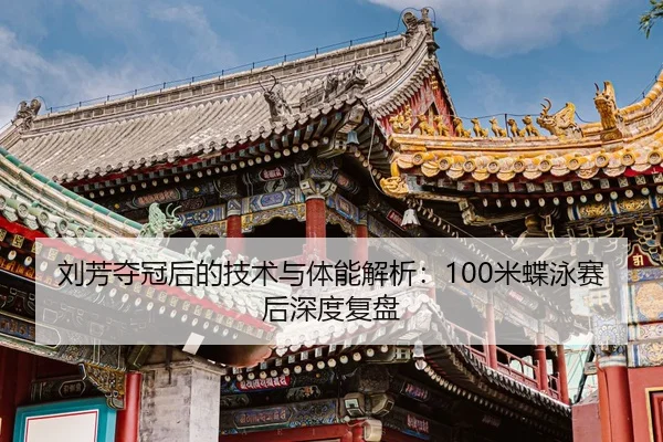 liu-fang-duo-guan-hou-de-ji-shu-yu-ti-neng-jie-xi-mi-die-yong-sai-hou-shen-du-fu-pan-2-142.jpg